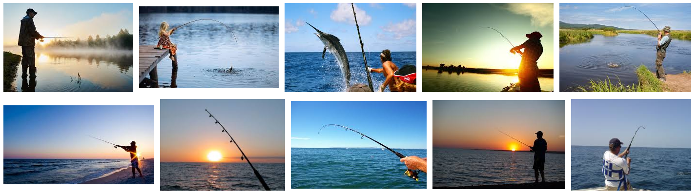 Aqua Bait and Fishing Suppliers